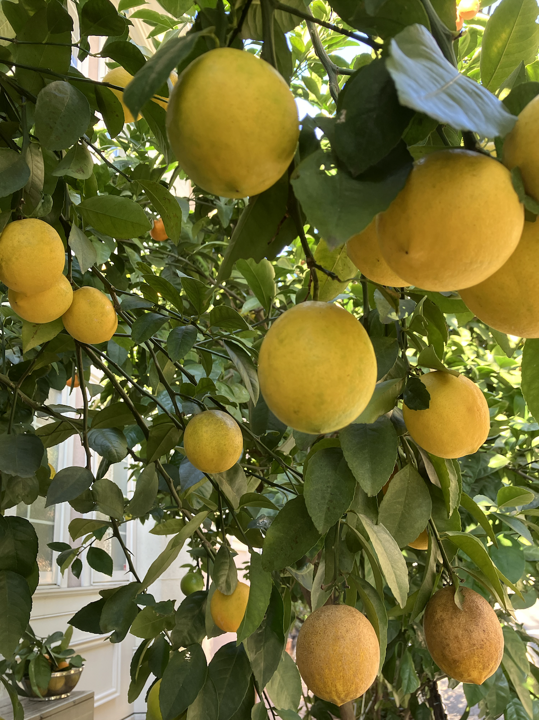 小松和花さんの趣味・特技の写真2