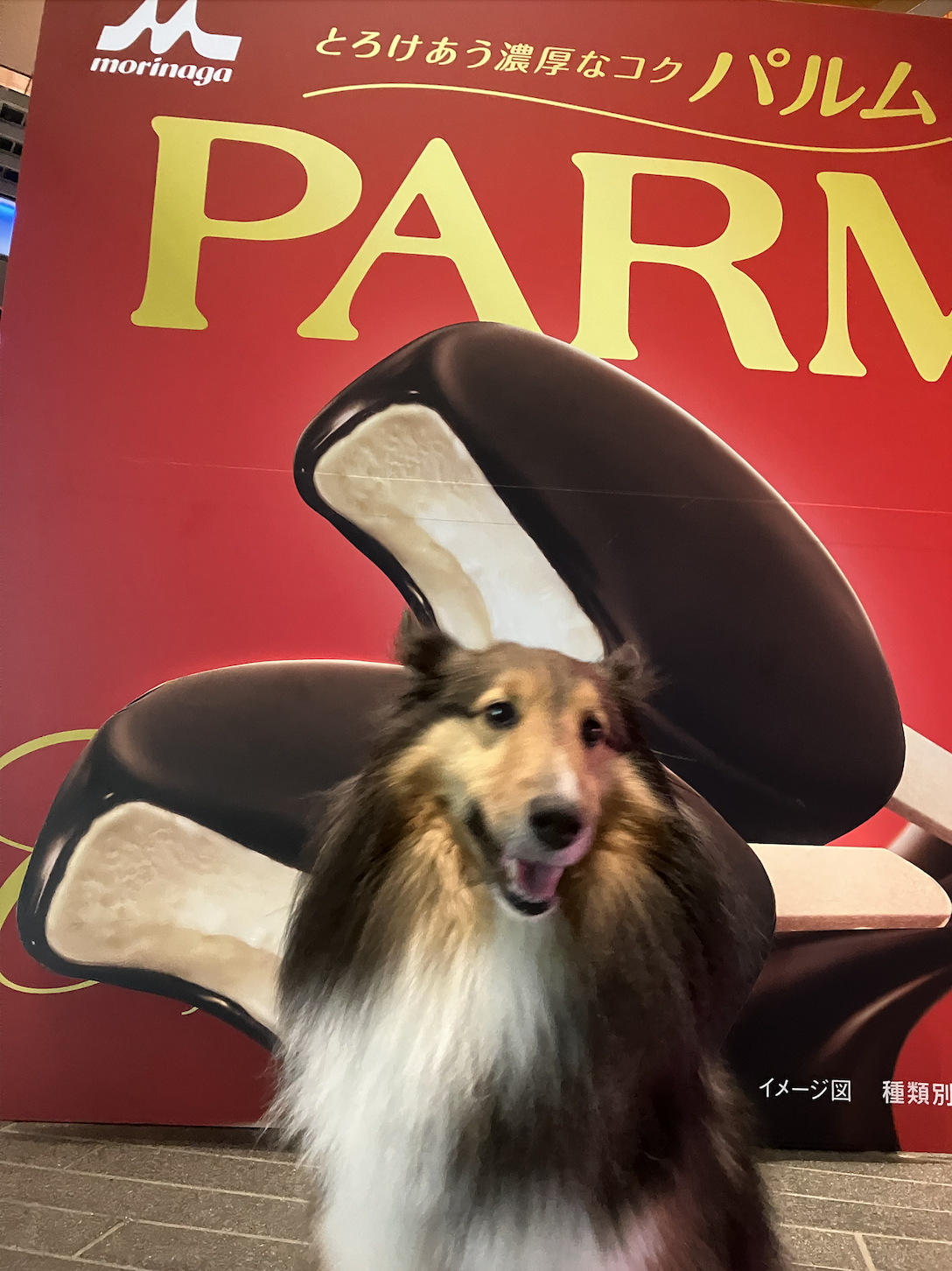 小松和花さんの趣味・特技の写真1