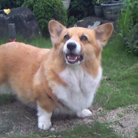 宇野 彩さんの趣味・特技の写真1